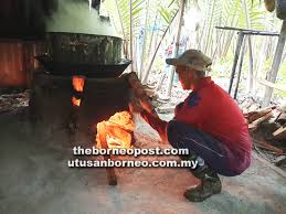 Sarawak's famous gula apong or nipa palm sugar is a type of sugar that comes from the nipa palm tree (nypa fruticans), which grows abundantly in the coastal areas of sarawak. Bat Visits Gula Apong Village Of Sarawak Kampung Tambak