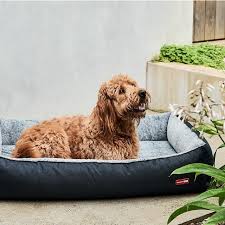 Dog Beds Provide Your Furry Friend With Maximum Comfort