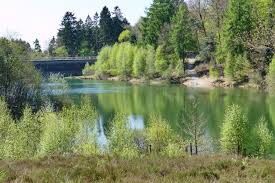Sie dient der hochwasserregulierung sowie der niedrigwasseraufhöhung und ist ein beliebtes naherholungsgebiet. Ronsdorfer Talsperre Wuppertal Aktuelle 2021 Lohnt Es Sich Mit Fotos Tripadvisor