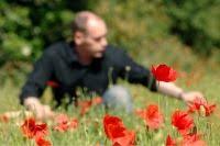 En 1996 La Chocolaterie Des Lis A Repris Cette Ancienne Specialite En Creant Un Arome A Base De Fleurs De Coquelicots L En 2019 Coquelicots Specialite Et Chocolaterie