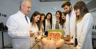 2021 lgs ye girenler aşağıda yer alan 2020 sakarya liseleri taban puanları,yüzdelik dilimlerini ve kontenjanları aşağıdan öğrenebilirsiniz. Tip Fakultesi Taban Puanlari 2019 Basari Siralamalari Ve Bolumleri