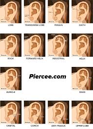 The Worlds Newest Photos Of Ear And Piercings Flickr Hive