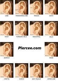 the worlds newest photos of ear and piercings flickr hive