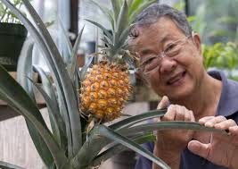 Obituary: Businessman and avid researcher kept links to history alive