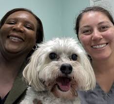 Vicki Hernandez, MSW