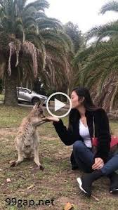 Pin Oleh Emine Di Tatli Di 2020 Gifs Lucu Hewan Video Hewan Lucu
