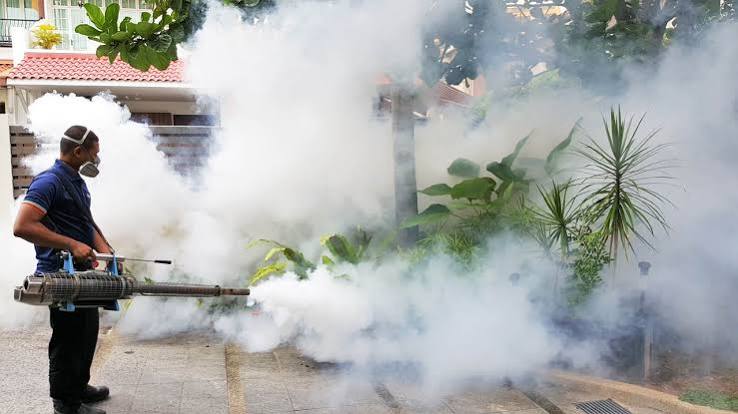 Fogging Services