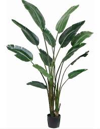 Travelers Palm Vs Bird Of Paradise Silk Palms And Artificial Trees Designer Quality Affordably Priced Artificial Palm Trees And Silk Trees 4 5 6 A Potted Trees Travellers Palm Faux Tree