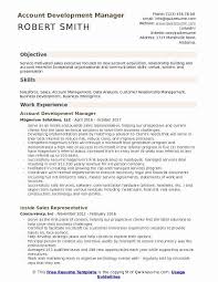 development representative resume fresh