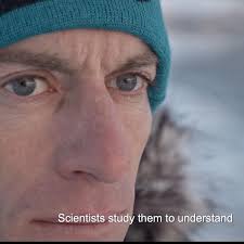 Première- Nov 17 2020