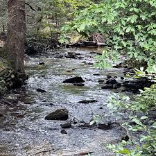 BEST of Allensville, PA Lakes - Yelp