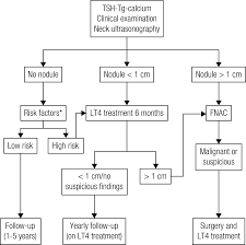 Safe and effective with 5 natural ingredients. Scielo Brasil Radiation Exposure And Thyroid Cancer A Review Radiation Exposure And Thyroid Cancer A Review