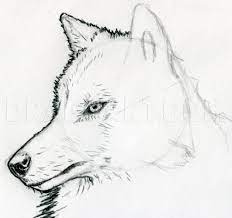 Drawing a realistic wolf is easier than you may think. How To Sketch A Wolf Arctic Wolf Step By Step Drawing Guide By Finalprodigy Dragoart Com