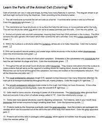 Coloring marvellous animal cell coloring worksheet animal and from cell membrane coloring worksheet answer key, source:subtleshift.me. Learn The Animal Cell