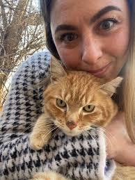 Has anyone seen him? I know I've posted alot I'm just hoping for even  sighting as am very worried and have my daughter distraught wondering where  her cat is as have had