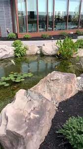 Why Water Features Have Healing Power Aquascape Inc Video Video Garden Pond Design Water Features In The Garden Fish Pond Gardens