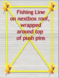 Braid lines don't stretch as much as other fishing lines, making them the most sensitive of all. Managing House Sparrows House Sparrow Bird House Plans Unique Bird Houses
