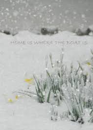 Say It With Flowers Flower Quotes Gone Tomorrow Flowers