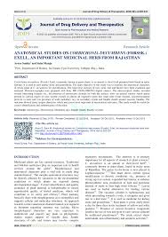 Image result for Corbichonia rubriviolacea