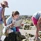 Rockpool rummaging (Family Event) West Runton event image