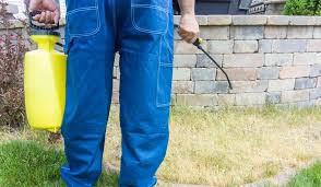 Tips For Using Diesel Fuel To Kill Your Weeds Crate And Basket