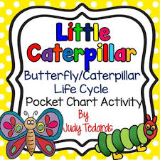 Little Caterpillar A Butterfly Caterpillar Life Cycle Pocket Chart Activity
