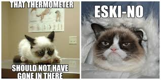 See more ideas about funny grumpy cat memes, cat memes, grumpy cat. 26 Grumpy Cat Memes Clean Cat Memes Clean Angry Cat Memes Cute Cat Memes