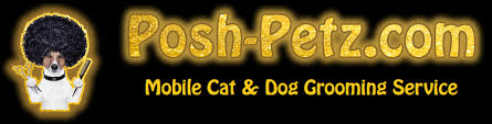 Shop grooming small pets at up to 70% off! Pet Grooming At Posh Petz Kitz Katz