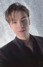 收藏卡(男性)/"HAPPY vernon day birthday  package>照片卡02:SEVENTEEN/VERNON(弗農)/"HAPPY vernon day birthday package>照片卡|  玩具模型| Suruga-ya.com