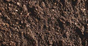 You're in the right place for acidic soil. Acidic Soil What It Means And How To Deal With It