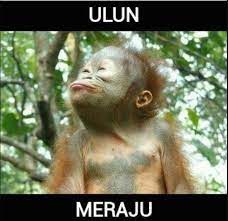 Terkeren 30 Gambar Monyet Lucu Hd Gambar Monyet Lucu Bahasa Minang Sigambar Baru From Sigambarbaru Com Deretan Gambar Monyet L Lucu Gambar Lucu Foto Lucu