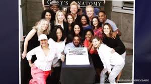 Staffel 14 startet am 25. Grey S Anatomy Staffel 14 Das Sind Die Neuen Darsteller