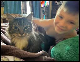 Thank you to everyone who helped bring T-Rex home safely