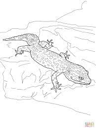 Check out our leopard gecko selection for the very best in unique or custom, handmade pieces from our aquariums & tank decor shops. Leopard Gecko Coloring Page Supercoloring Com Cartoon Lizard Lizard Coloring Pages Coloring Pages