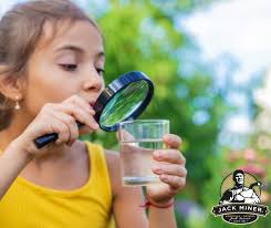 🌿 Meet Our New Summer Students! 🌿 We are thrilled to introduce three  passionate and dedicated individuals joining The Jack Miner Migratory Bird  Foundation this summer! 🦢 Their work will be instrumental