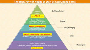 34 Extraordinary Hierarchy Of Accounting