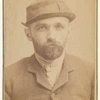 One of the "Three Extraordinary Characters" NLW3363685, photograph by John  Thomas, Whales