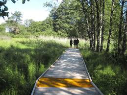Strandskogen Arninge Ullna By Topia Landscape Architecture Works Landezine Park Landscape Landscape Architecture Landscape Structure