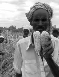 World bank 2013, growing africa: Openknowledge Worldbank Org