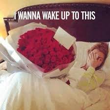 Bed Full Of Roses Red Roses Rose Love Flowers