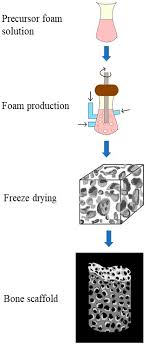 Molecules Free Full Text Microbial Polyhydroxyalkanoates Granules An Approach Targeting Biopolymer For Medical Applications And Developing Bone Scaffolds Html