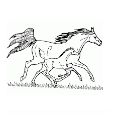 Coloriage De Chevaux Sauvage Recherche Google Coloriage Cheval Coloriage Cheval A Imprimer Cheval A Imprimer