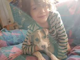 Our beautiful foster Lucia( 14-16 weeks) is waiting for her forever home.  She is up to date with vaccines. Very friendly with all. Not completely  potty trained but working