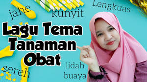 Taman obat keluarga pada hakekatnya adalah sebidang tanah, baik di halaman rumah. Lagu Tema Tanaman Obat Youtube