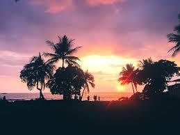 Tropical beach. online ✓ all image rights included ✓ high resolution pictu. Hd Wallpaper United States Kailua Kona Sunset Palm Trees Beautiful Hawaii Wallpaper Flare
