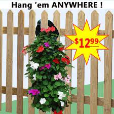 Pin On Creative Hanging Baskets