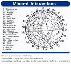 health benefits of vitamins minerals trace minerals to