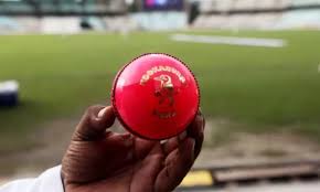 The pink sg test ball, in its present avatar, may not be acceptable to players, especially of the touring teams. India To Play Pink Ball Test Against England In Ahmedabad Confirms Sourav Ganguly