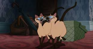 Paroles.net dispose d'un accord de licence de paroles de chansons avec la société des editeurs et auteurs de musique (seam). La Chanson Des Siamois Modifiee Dans Le Remake De La Belle Et Le Clochard Show 7sur7 Be