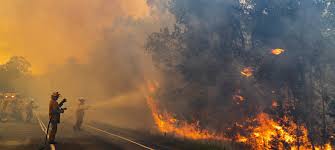 Australia wildfires: communities must stay vigilant, urges UN .